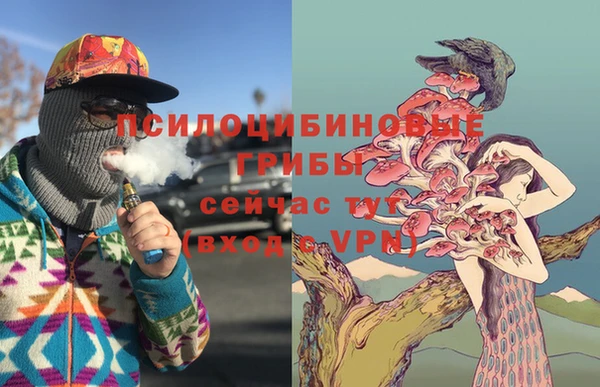 мет Дмитриев