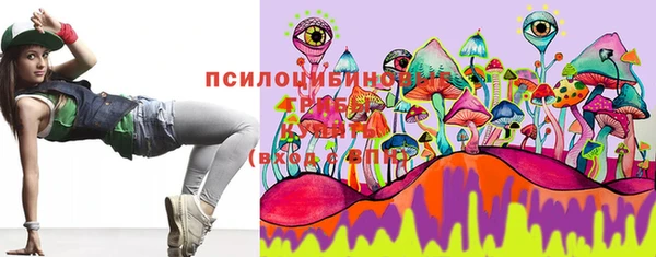 мет Дмитриев
