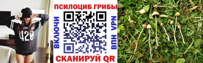 Галлюциногенные грибы Psilocybine cubensis  Купить закладки  Ахтырский 